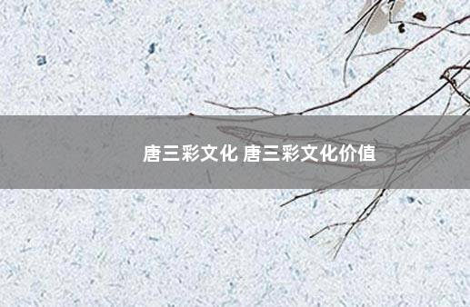 唐三彩文化 唐三彩文化价值
