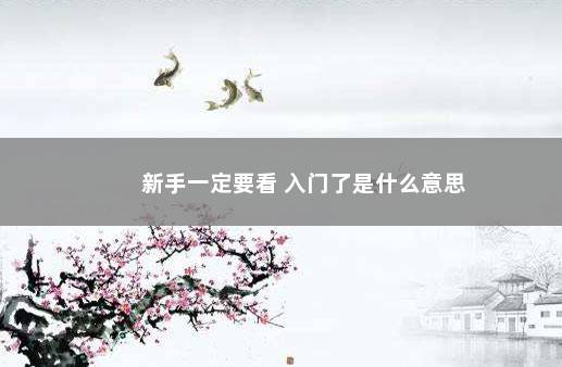 新手一定要看 入门了是什么意思