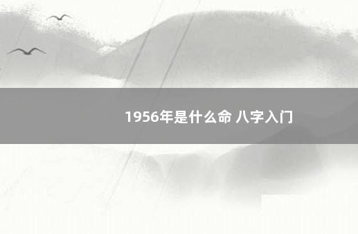 1956年是什么命 八字入门