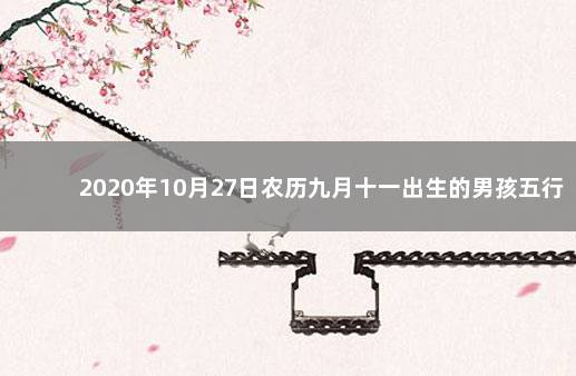 2020年10月27日农历九月十一出生的男孩五行缺什么 2020年10月27日男孩五行查询