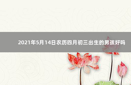 2021年5月14日农历四月初三出生的男孩好吗 2021年5月14日出生的男孩五行缺什么