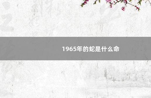 1965年的蛇是什么命
