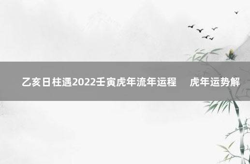 乙亥日柱遇2022壬寅虎年流年运程 　虎年运势解析