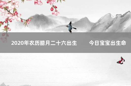 2020年农历腊月二十六出生 　　今日宝宝出生命理