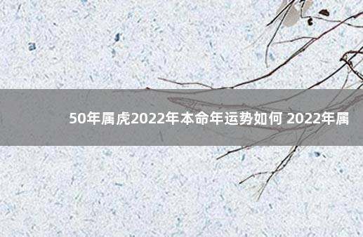 50年属虎2022年本命年运势如何 2022年属虎的本命年好不好