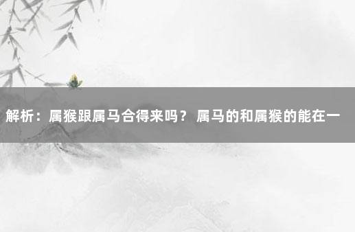 解析：属猴跟属马合得来吗？ 属马的和属猴的能在一起合作吗