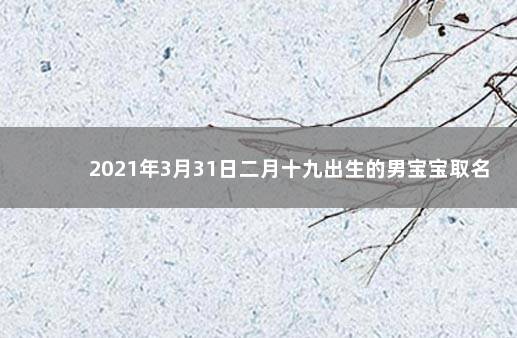 2021年3月31日二月十九出生的男宝宝取名