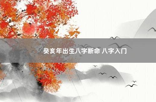 癸亥年出生八字断命 八字入门