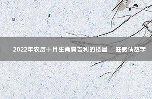 2022年农历十月生肖狗吉利的楼层 　旺感情数字