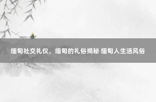 缅甸社交礼仪，缅甸的礼俗揭秘 缅甸人生活风俗