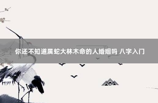 你还不知道属蛇大林木命的人婚姻吗 八字入门