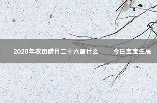 2020年农历腊月二十六属什么 　　今日宝宝生辰八字和出生命理