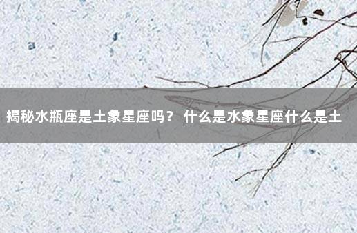 揭秘水瓶座是土象星座吗？ 什么是水象星座什么是土象星座