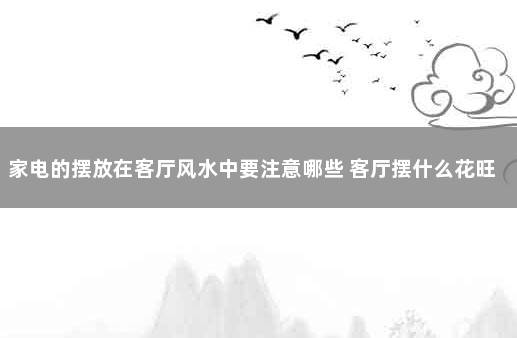 家电的摆放在客厅风水中要注意哪些 客厅摆什么花旺风水