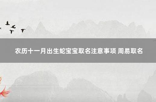 农历十一月出生蛇宝宝取名注意事项 周易取名