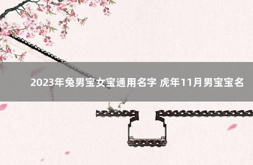 2023年兔男宝女宝通用名字 虎年11月男宝宝名字