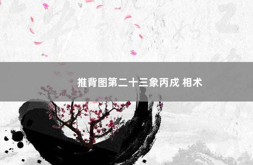 推背图第二十三象丙戍 相术