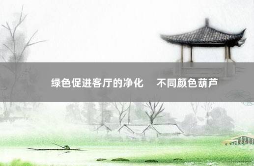 绿色促进客厅的净化 　不同颜色葫芦
