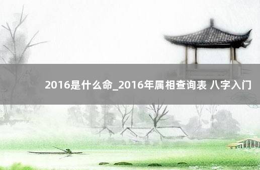 2016是什么命_2016年属相查询表 八字入门