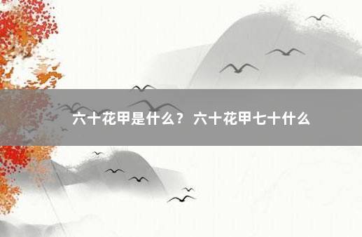 六十花甲是什么？ 六十花甲七十什么