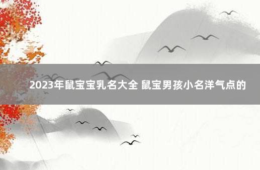2023年鼠宝宝乳名大全 鼠宝男孩小名洋气点的