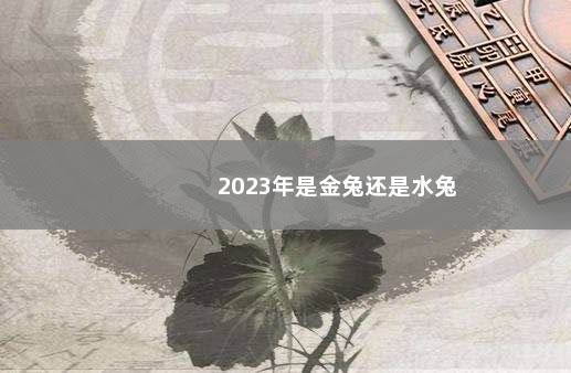 2023年是金兔还是水兔