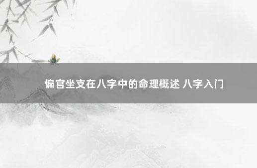 偏官坐支在八字中的命理概述 八字入门