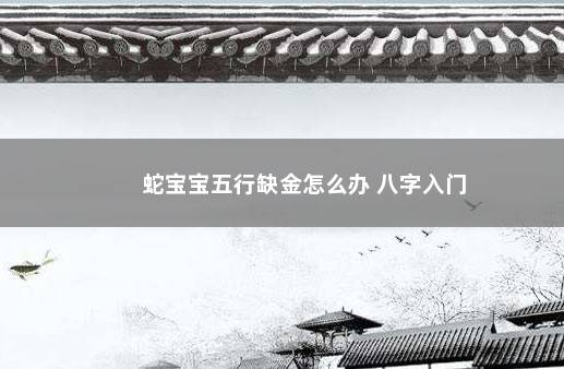 蛇宝宝五行缺金怎么办 八字入门
