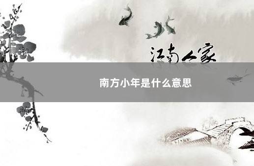 南方小年是什么意思