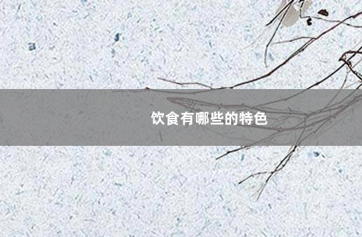 饮食有哪些的特色
