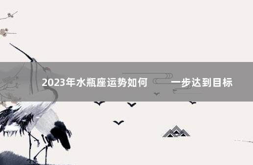 2023年水瓶座运势如何 　　一步达到目标