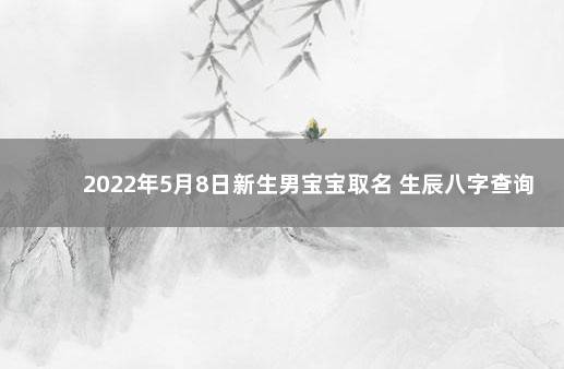 2022年5月8日新生男宝宝取名 生辰八字查询