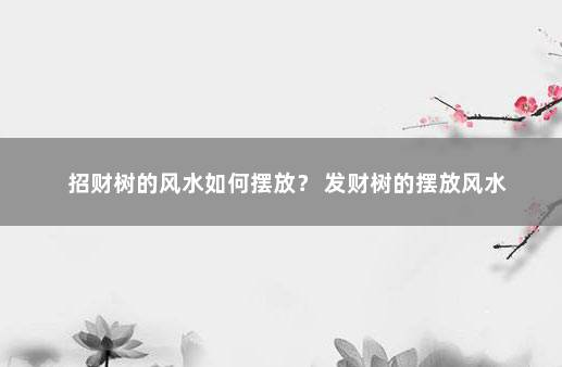 招财树的风水如何摆放？ 发财树的摆放风水