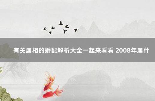 有关属相的婚配解析大全一起来看看 2008年属什么生肖属相