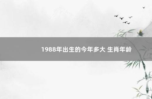 1988年出生的今年多大 生肖年龄