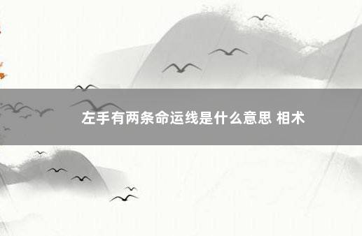 左手有两条命运线是什么意思 相术