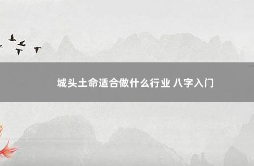 城头土命适合做什么行业 八字入门