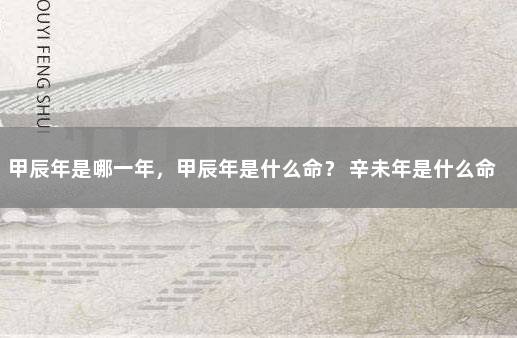 甲辰年是哪一年，甲辰年是什么命？ 辛未年是什么命
