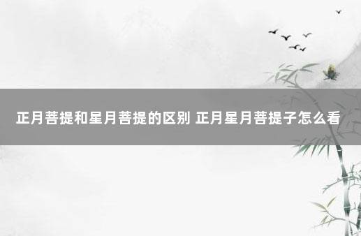 正月菩提和星月菩提的区别 正月星月菩提子怎么看