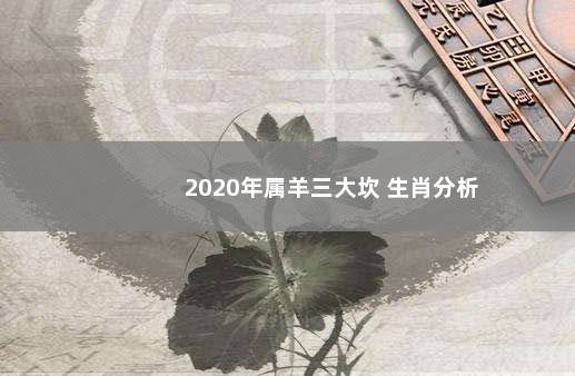 2020年属羊三大坎 生肖分析