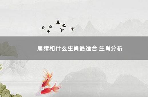 属猪和什么生肖最适合 生肖分析