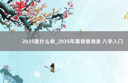 2035是什么命_2035年属相查询表 八字入门