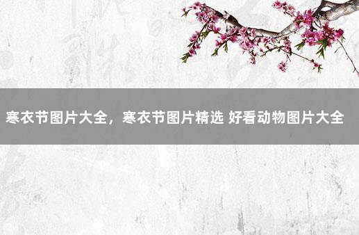 寒衣节图片大全，寒衣节图片精选 好看动物图片大全大图