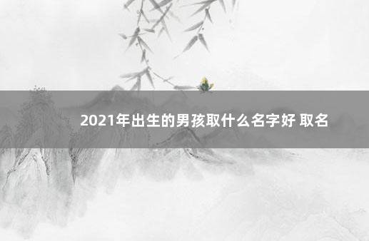 2021年出生的男孩取什么名字好 取名