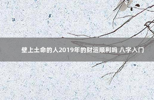 壁上土命的人2019年的财运顺利吗 八字入门