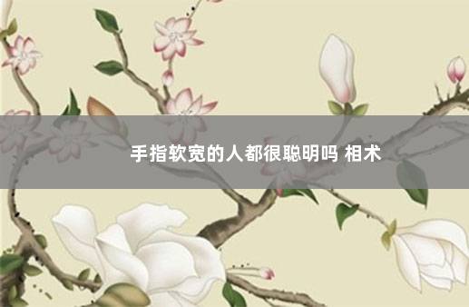 手指软宽的人都很聪明吗 相术