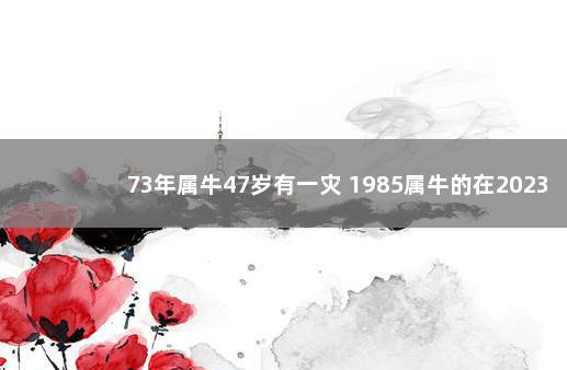 73年属牛47岁有一灾 1985属牛的在2023年运气