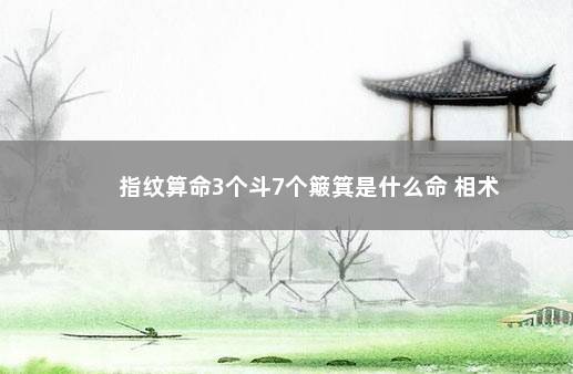 指纹算命3个斗7个簸箕是什么命 相术