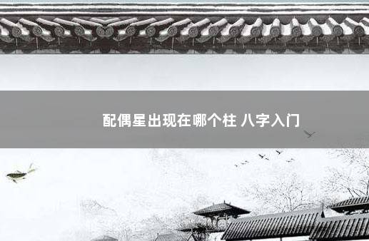 配偶星出现在哪个柱 八字入门