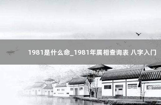 1981是什么命_1981年属相查询表 八字入门